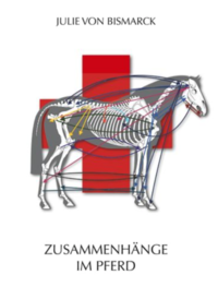 Vorderes Coverbild Zusammenhänge im Pferd
