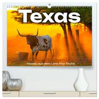 Vorderes Coverbild Texas - Howdy aus dem Lone Star State! (hochwertiger Premium Wandkalender 2025 DIN A2 quer), Kunstdruck in Hochglanz