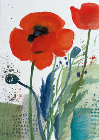 Vorderes Coverbild Kunstkarten "Mohnblumen 3" 5 Stk.