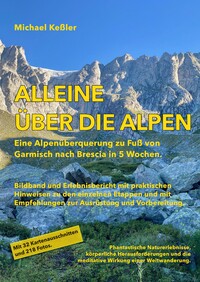 Vorderes Coverbild Alleine über die Alpen