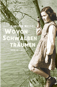 Vorderes Coverbild Wovon Schwalben träumen