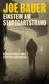 Vorderes Coverbild Einstein am Stuttgartstrand