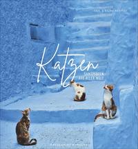 Vorderes Coverbild Katzen
