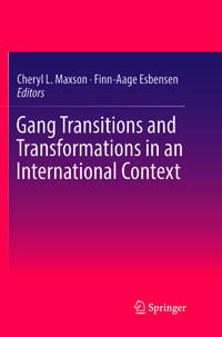 Vorderes Coverbild Gang Transitions and Transformations in an International Context