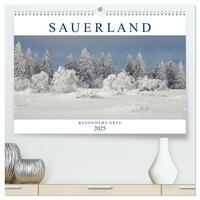 Vorderes Coverbild SAUERLAND – Besondere Orte (hochwertiger Premium Wandkalender 2025 DIN A2 quer), Kunstdruck in Hochglanz