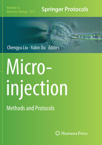 Vorderes Coverbild Microinjection