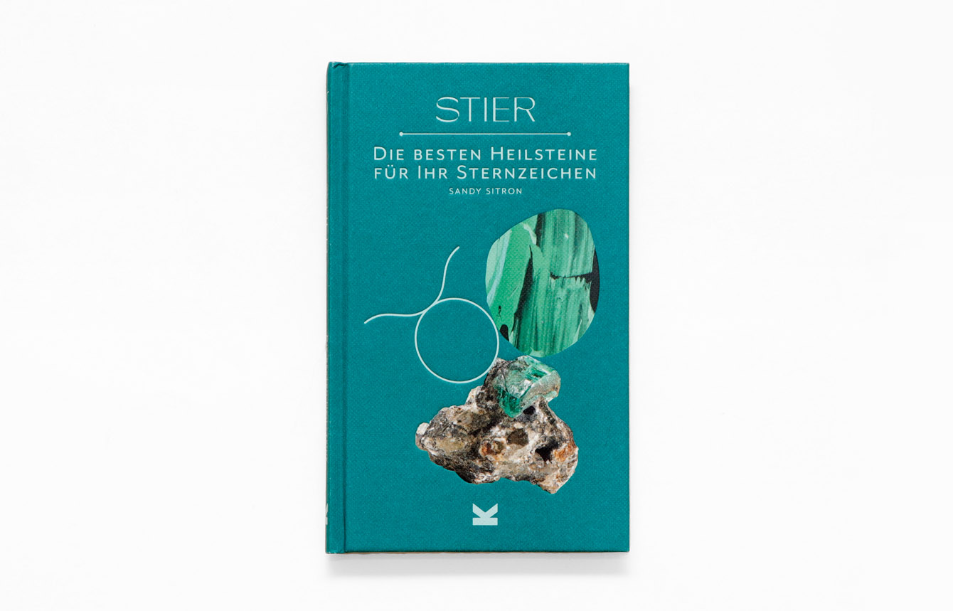 Beispielinhalt (Bild) Stier