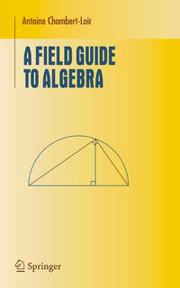 Vorderes Coverbild A Field Guide to Algebra