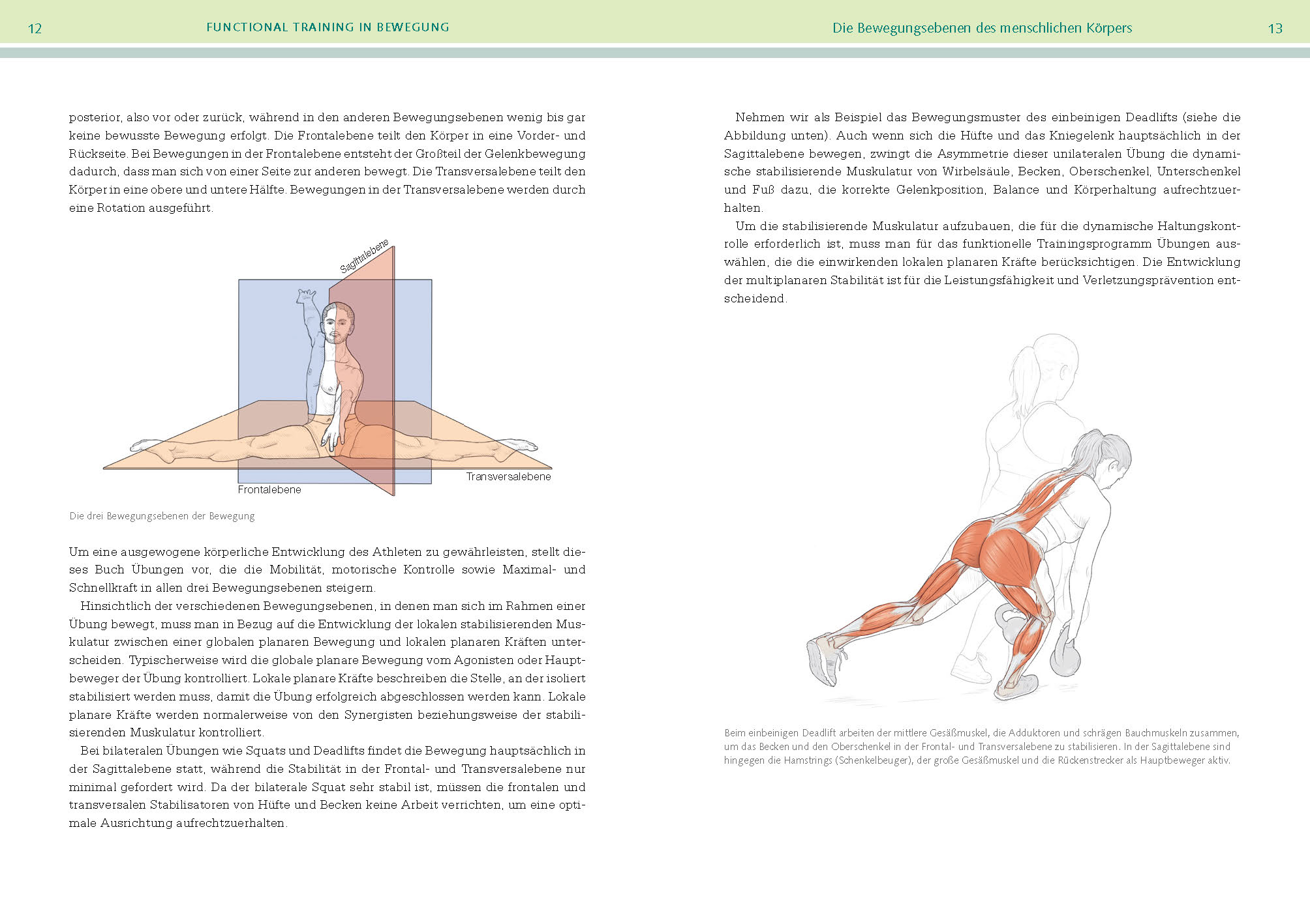 Beispielinhalt (Bild) Functional-Training-Anatomie