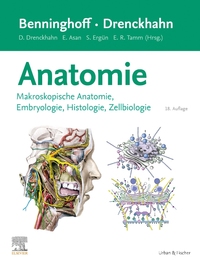 Vorderes Coverbild Benninghoff/Drenckhahn, Anatomie