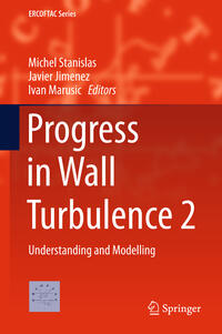 Vorderes Coverbild Progress in Wall Turbulence 2
