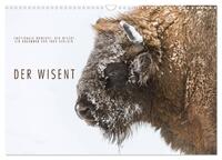 Vorderes Coverbild Emotionale Momente: Der Wisent. (Wandkalender 2025 DIN A3 quer), CALVENDO Monatskalender