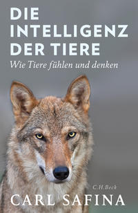 Vorderes Coverbild Die Intelligenz der Tiere