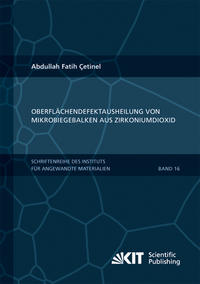 Vorderes Coverbild Oberflächendefektausheilung und Festigkeitssteigerung von niederdruckspritzgegossenen Mikrobiegebalken aus Zirkoniumdioxid