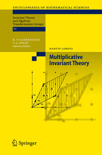 Vorderes Coverbild Multiplicative Invariant Theory