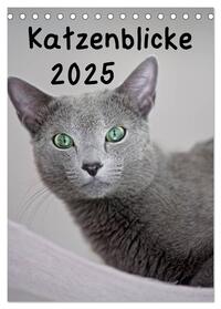 Vorderes Coverbild Katzenblicke 2025 (Tischkalender 2025 DIN A5 hoch), CALVENDO Monatskalender