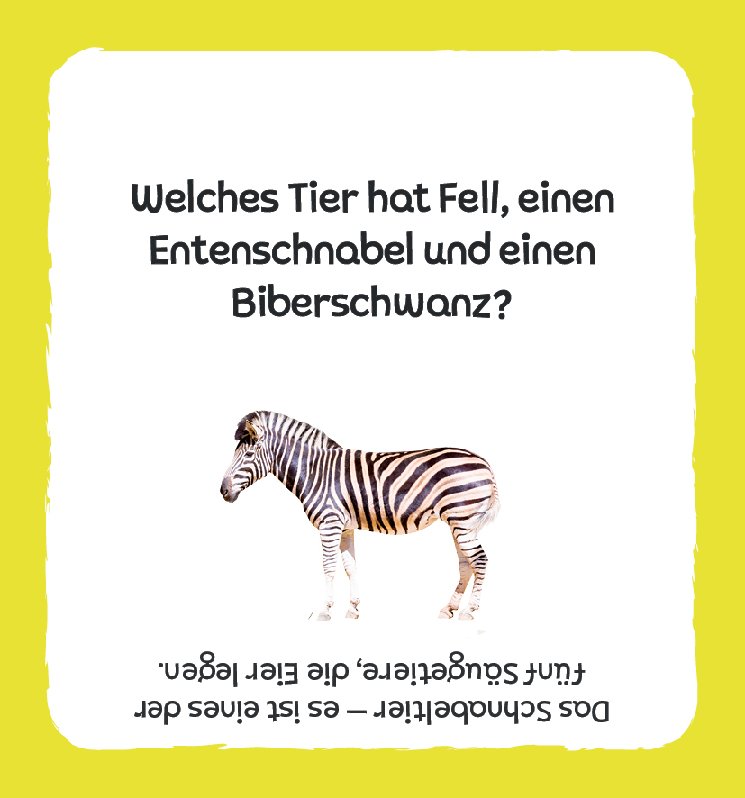 Beispielinhalt (Bild) Kartenbox: Das große Quiz – Tiere