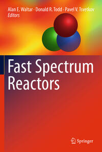 Vorderes Coverbild Fast Spectrum Reactors