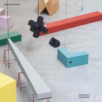 Vorderes Coverbild David Zink Yi / Angie Keefer. Being the Measure