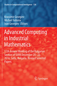 Vorderes Coverbild Advanced Computing in Industrial Mathematics