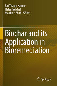 Vorderes Coverbild Biochar and its Application in Bioremediation