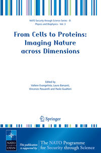Vorderes Coverbild From Cells to Proteins: Imaging Nature across Dimensions