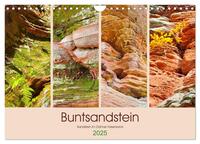 Vorderes Coverbild Buntsandstein - Sandstein im Dahner Felsenland (Wandkalender 2025 DIN A4 quer), CALVENDO Monatskalender