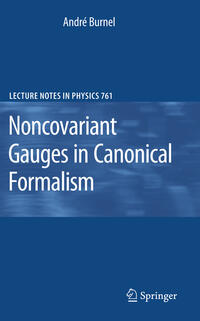 Vorderes Coverbild Noncovariant Gauges in Canonical Formalism