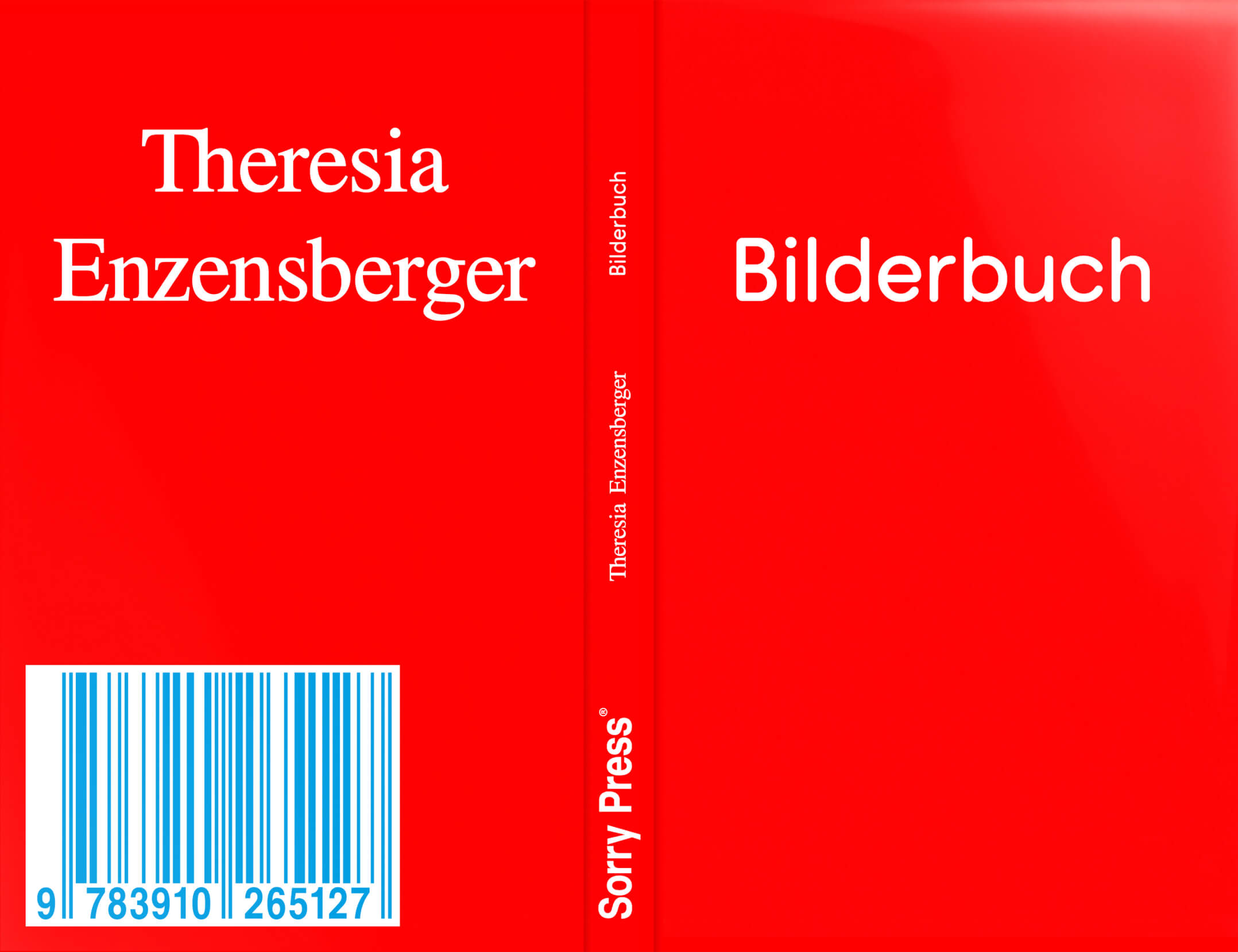 Gesamtes Coverbild Bilderbuch