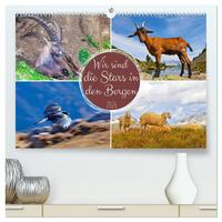 Vorderes Coverbild Wir sind die Stars in den Bergen (hochwertiger Premium Wandkalender 2026 DIN A2 quer), Kunstdruck in Hochglanz