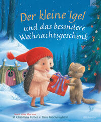 Vorderes Coverbild Der kleine Igel und das besondere Weihnachtsgeschenk