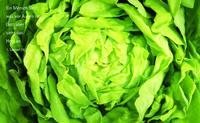 Vorderes Coverbild Vesperbrettchen / Frühstücksbrettchen Salat
