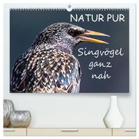 Vorderes Coverbild NATUR PUR - Singvögel ganz nah (hochwertiger Premium Wandkalender 2025 DIN A2 quer), Kunstdruck in Hochglanz