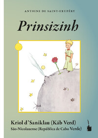 Vorderes Coverbild Prinsizinh