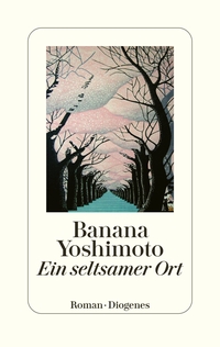 Vorderes Coverbild Ein seltsamer Ort