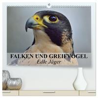 Vorderes Coverbild Falken und Greifvögel. Edle Jäger (hochwertiger Premium Wandkalender 2026 DIN A2 quer), Kunstdruck in Hochglanz