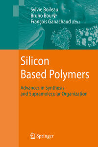 Vorderes Coverbild Silicon Based Polymers