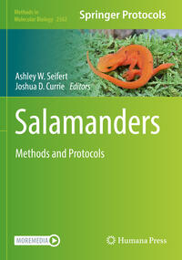 Vorderes Coverbild Salamanders