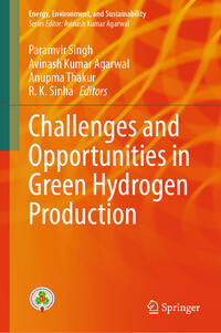 Vorderes Coverbild Challenges and Opportunities in Green Hydrogen Production