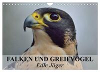 Vorderes Coverbild Falken und Greifvögel. Edle Jäger (Wandkalender 2026 DIN A4 quer), CALVENDO Monatskalender