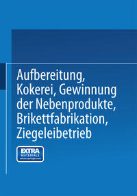 Vorderes Coverbild Aufbereitung, Kokerei, Gewinnung der Nebenprodukte, Brikettfabrikation, Ziegeleibetrieb