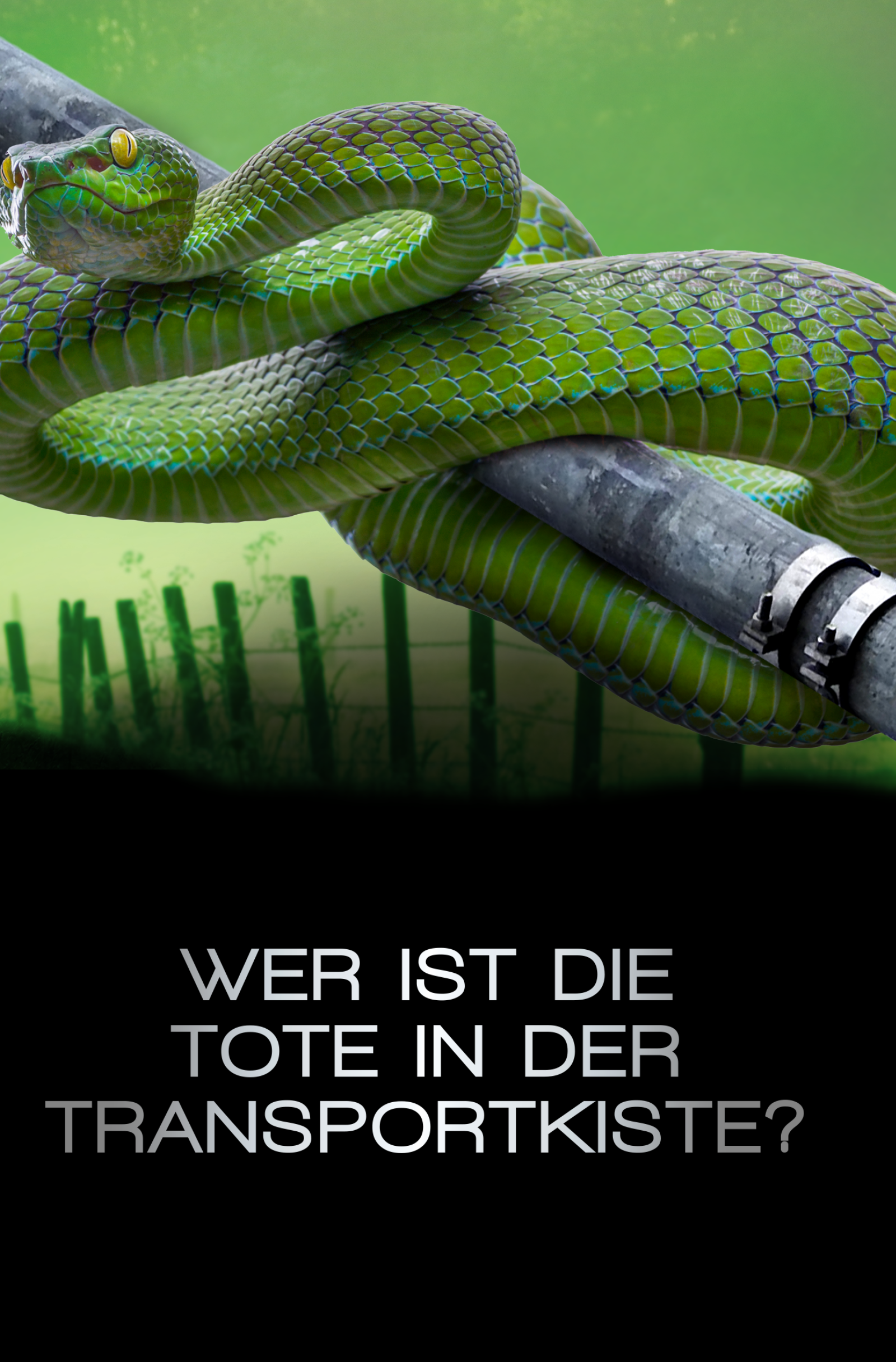 Beispielinhalt (Bild) Schlangengrube
