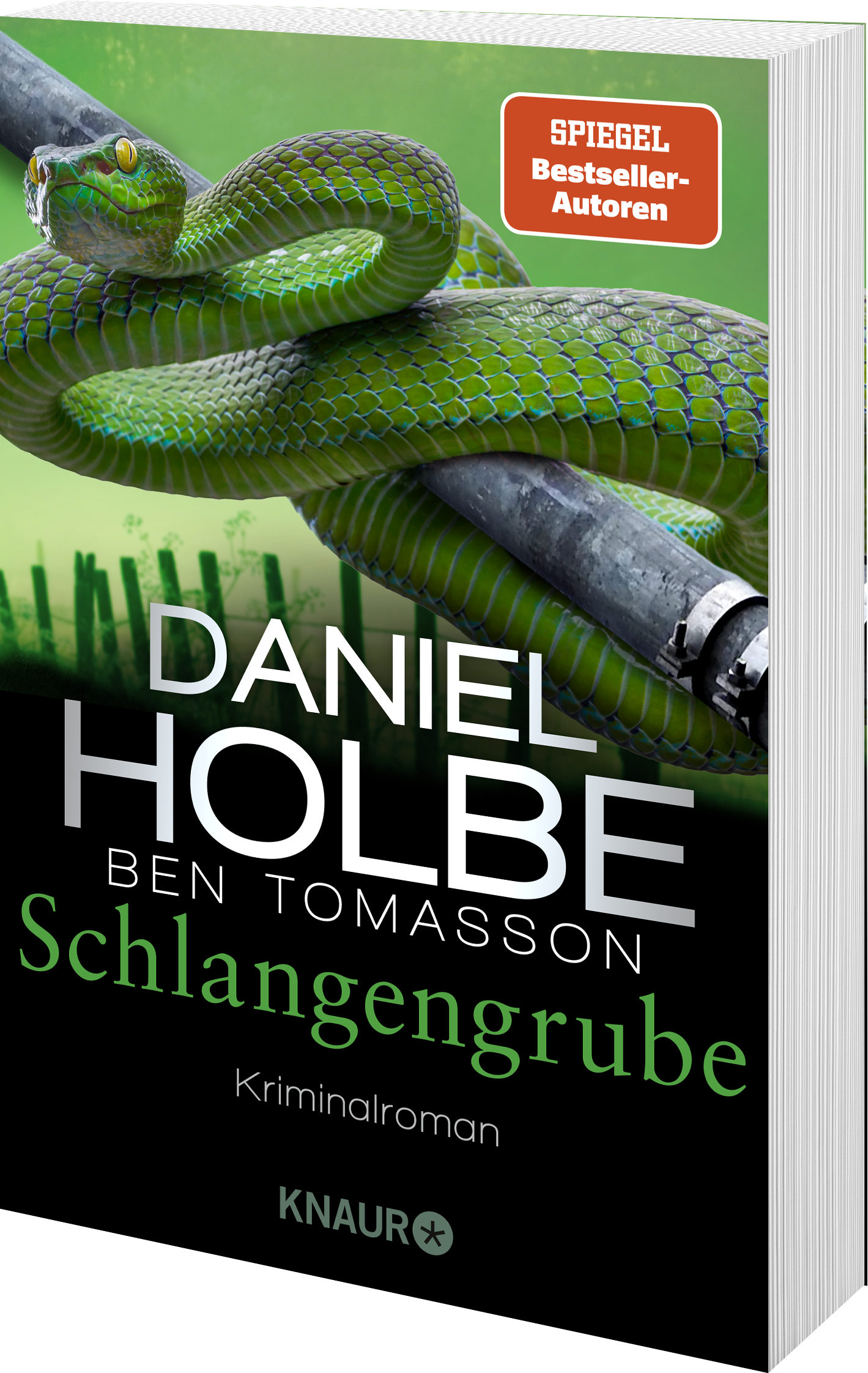 Anderes Coverbild Schlangengrube