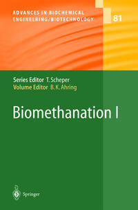 Vorderes Coverbild Biomethanation I