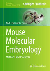 Vorderes Coverbild Mouse Molecular Embryology