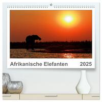 Vorderes Coverbild Afrikanische Elefanten (hochwertiger Premium Wandkalender 2025 DIN A2 quer), Kunstdruck in Hochglanz