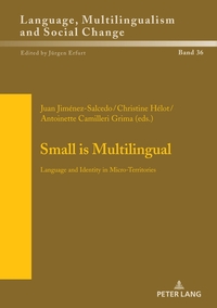 Vorderes Coverbild Small is Multilingual