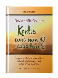 Vorderes Coverbild David trifft Goliath - Krebs was nun was tun?