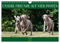 Vorderes Coverbild Unsere Freunde auf vier Pfoten - Hunde (Wandkalender 2025 DIN A4 quer), CALVENDO Monatskalender