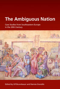 Vorderes Coverbild The Ambiguous Nation